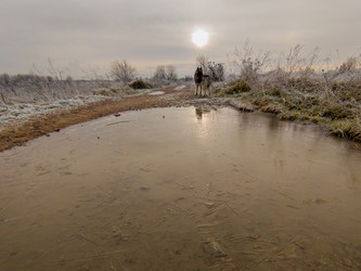 Similar image 22418947