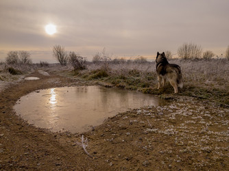 Similar image 22418949