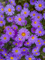 Similar image 22418950