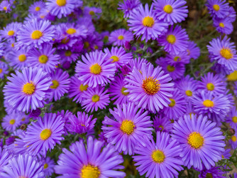 Similar image 22418952