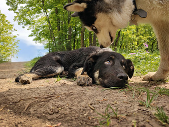 Similar image 22418953