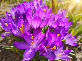 Similar image 22418954