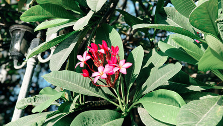 Similar image 22418805