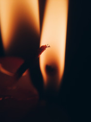 Similar image 22424260