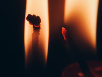 Similar image 22424262