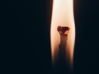 Similar image 22424264