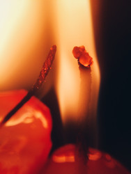 Similar image 22424267