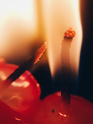 Similar image 22424287