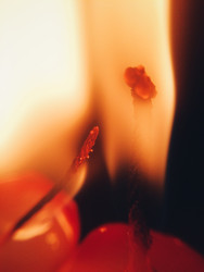 Similar image 22424289