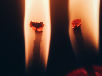 Similar image 22424290