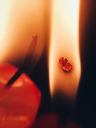 Similar image 22424299