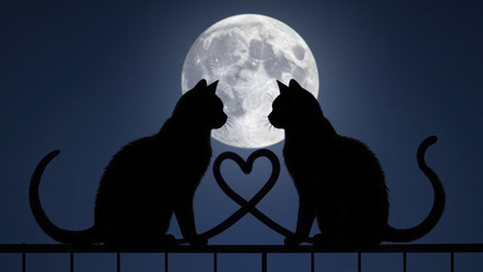 Similar image 22425737