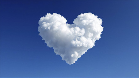 Similar image 22425740