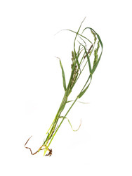 Similar image 22424956