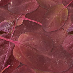 Similar image 22424997