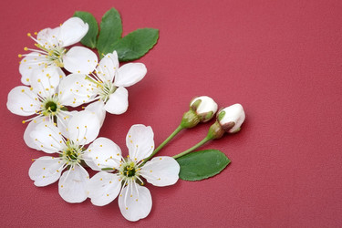 Similar image 22424999