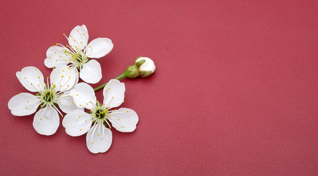 Similar image 22425005