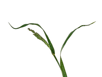 Similar image 22427806