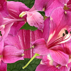 Similar image 22427808