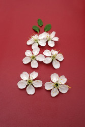 Similar image 22427810