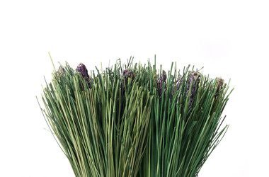 Similar image 22427820