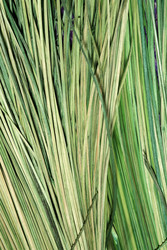 Similar image 22427821