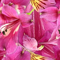 Similar image 22427822