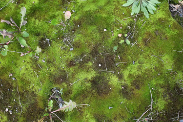 Similar image 22427827