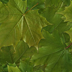 Similar image 22427828