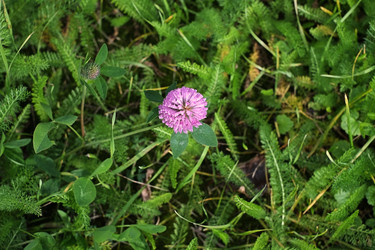 Similar image 22427831