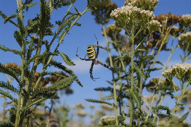 Similar image 22430699