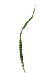 Similar image 22427863