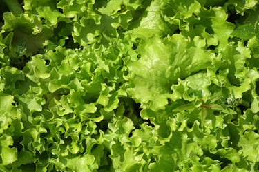 Similar image 22427866