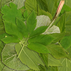 Similar image 22427870