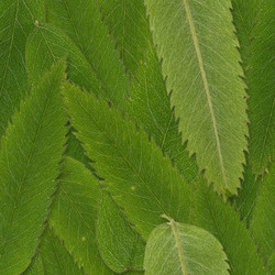 Similar image 22427877