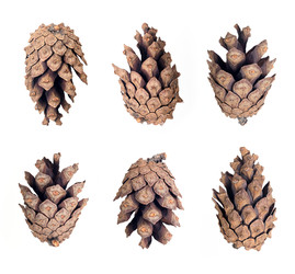 Similar image 22427886