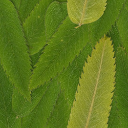 Similar image 22427890