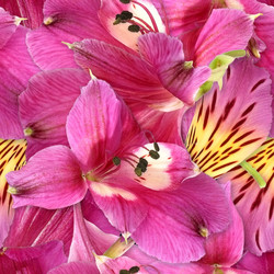 Similar image 22427896