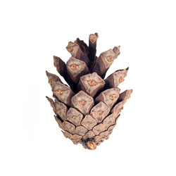 Similar image 22427909