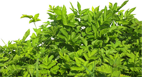 Similar image 22427960