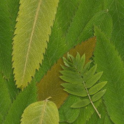 Similar image 22427963