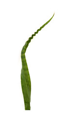 Similar image 22427988