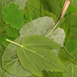 Similar image 22427994