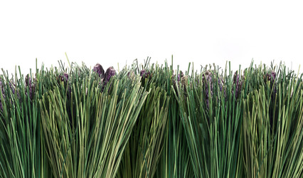 Similar image 22427996