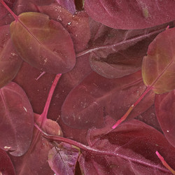 Similar image 22427997