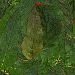 Similar image 22427998