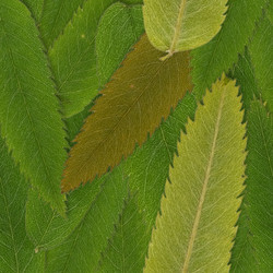 Similar image 22427999