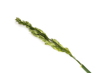 Similar image 22428007