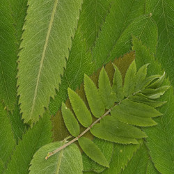 Similar image 22428020