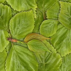 Similar image 22428027